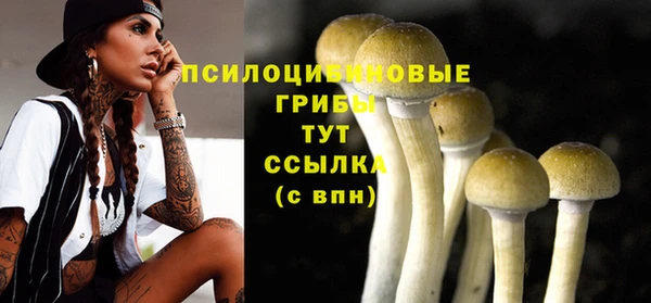 бошки Михайловск