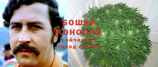 гидра Надым