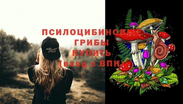 бошки Михайловск