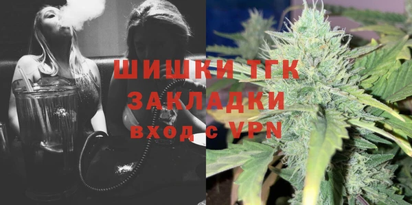 гидра Надым